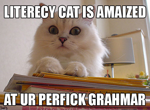 Literacy.Cat.jpg
