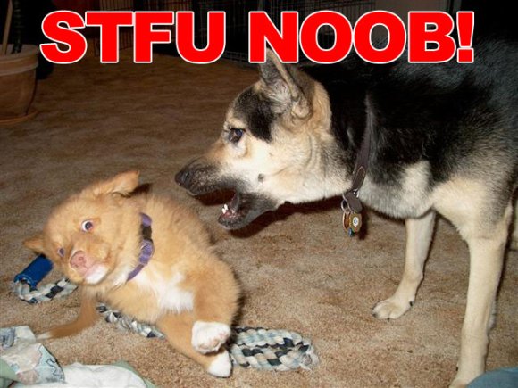 STFUnoob.jpg