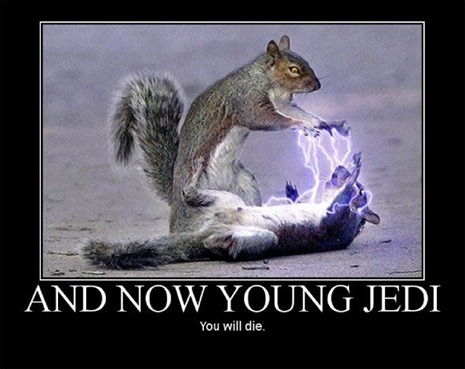 YoungDie.jpg