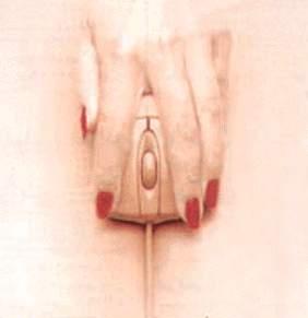 pink-mouse.jpg