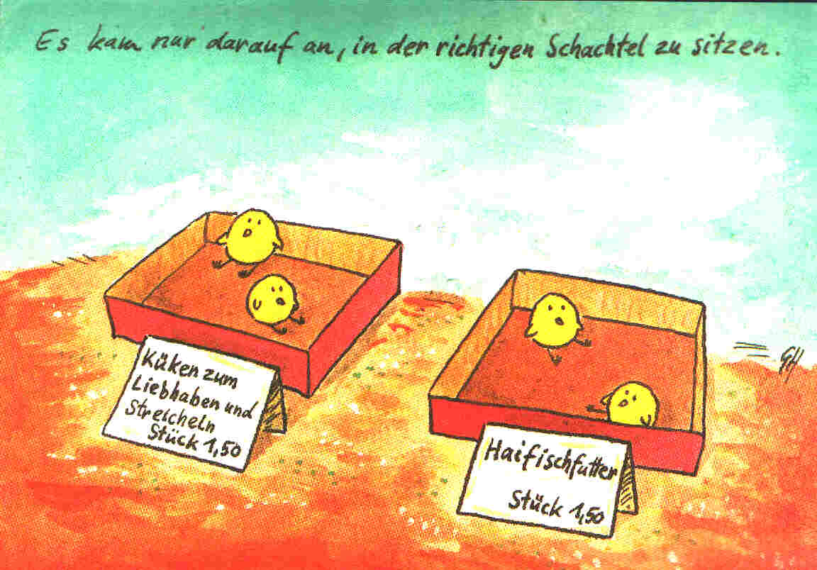 kueken.jpg