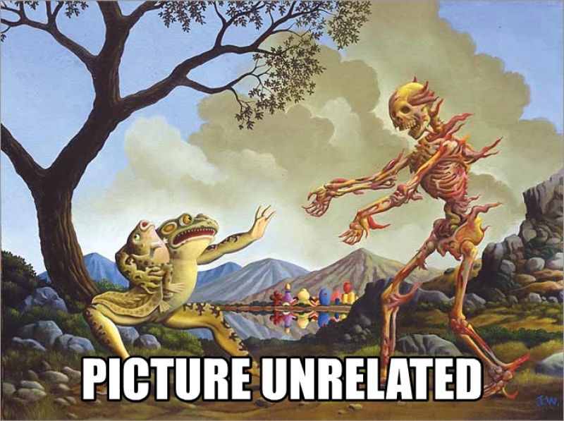 picture_unrelated_4.jpg