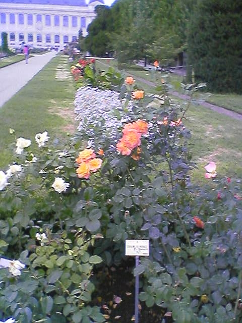 20041101205858_ftpj_34.jpg