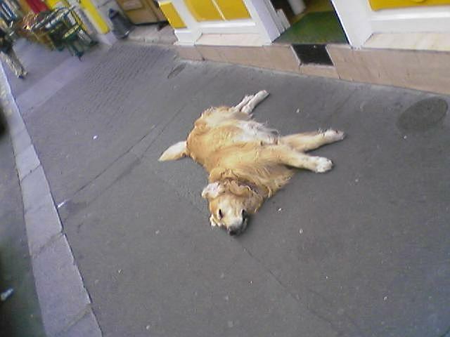20041101205858_ftpj_4.jpg