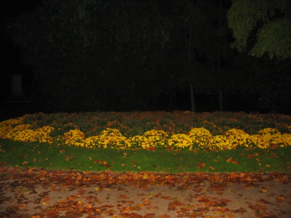20041101205858_ftpj_59.jpg
