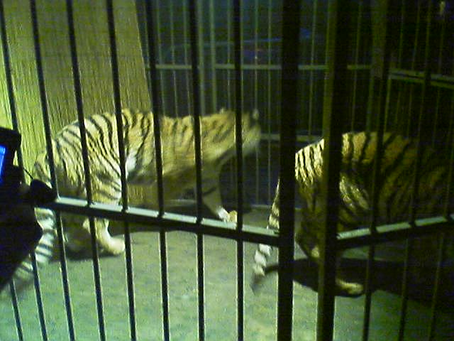 img060427-2226.jpg