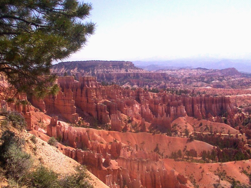 ybcnp004.jpg